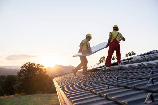 Best Skylight Installation and Repair  in Leo Cedarville, IN